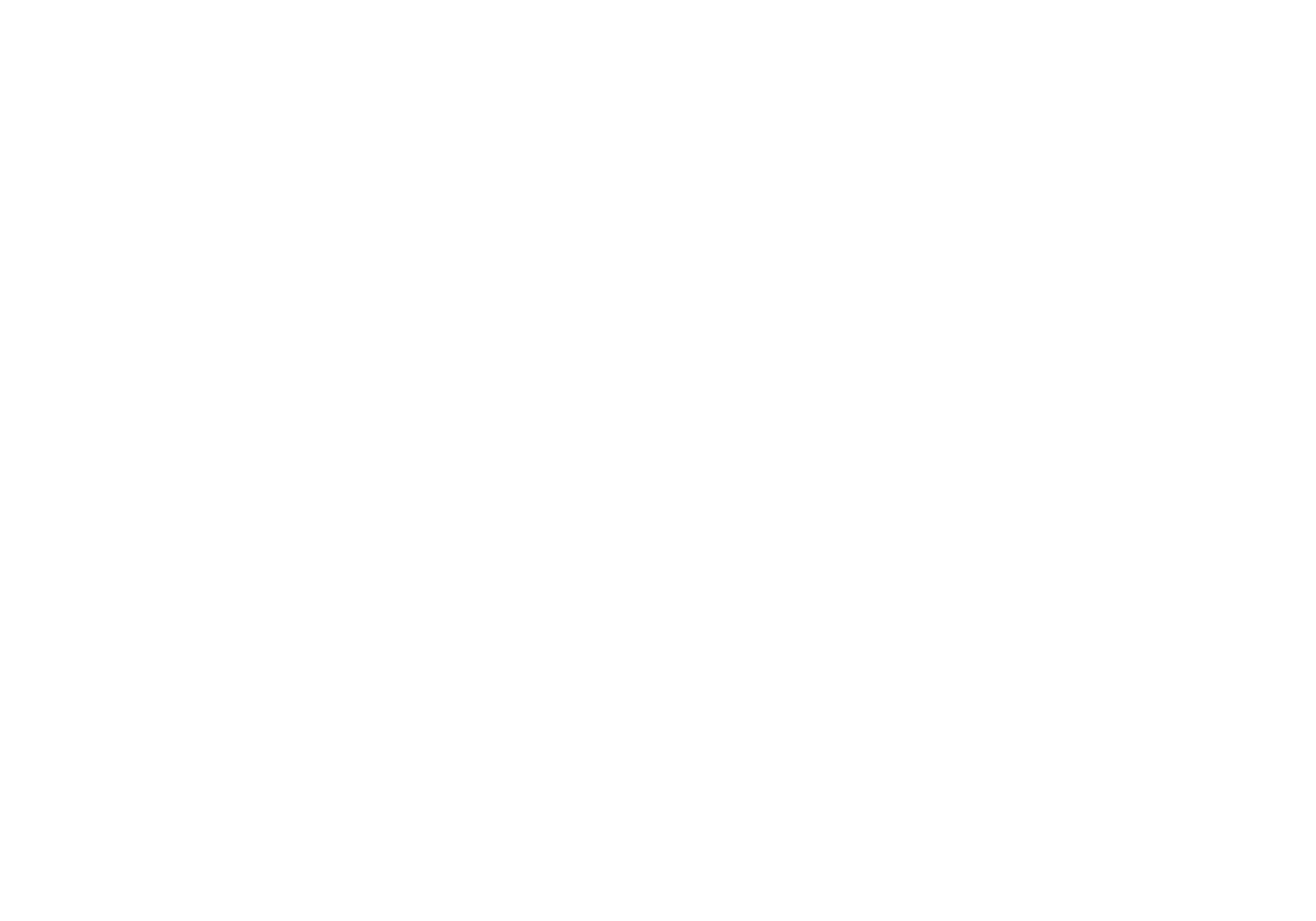binamaju_logo_transparent